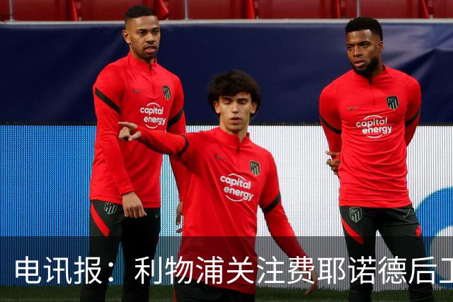 电讯报：利物浦关注费耶诺德后卫海特勒伊达
